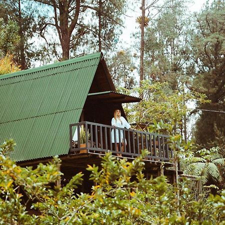 Cardinal Glamping Hotel Guatapé Exterior foto